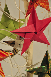 Sculptural-Origami Stars on Tree